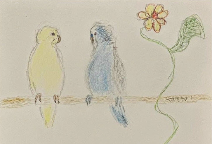 March 21st Is World Budgie Day