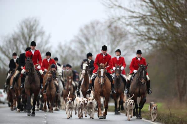 Calls for future Northern Ireland Assembly to ban hunting with dogs