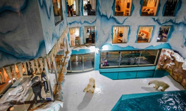Chinese hotel with polar bear enclosure opens to outrage