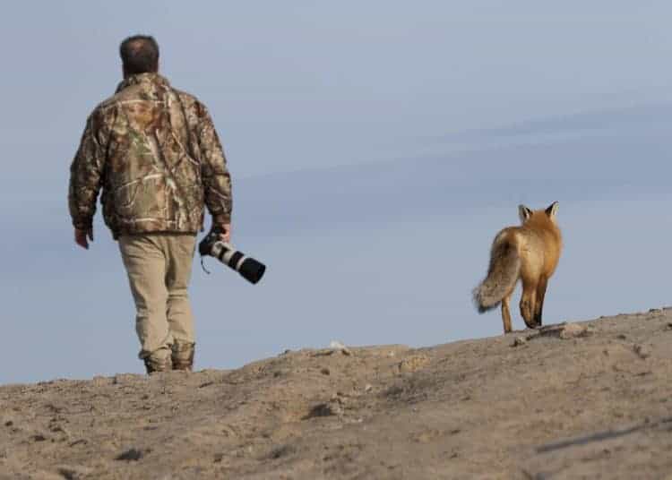 Confessions of a Wildlife Photographer