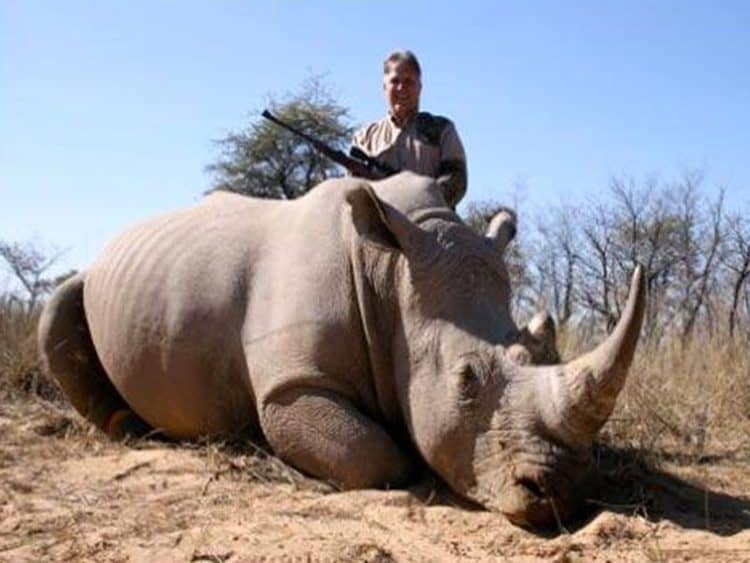 Petition: Dallas Safari Club Hosts 2021 Convention Selling Cruel Trophy Hunting Trips Virtually