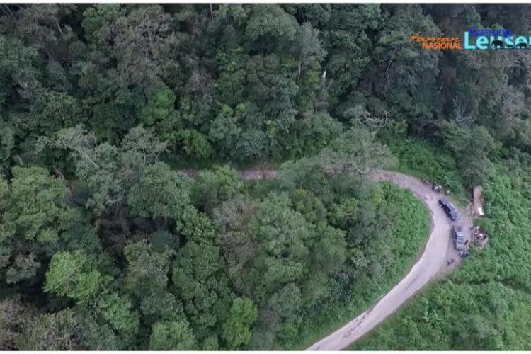 Deforestation spurred by road project creeps closer to Sumatra wildlife haven