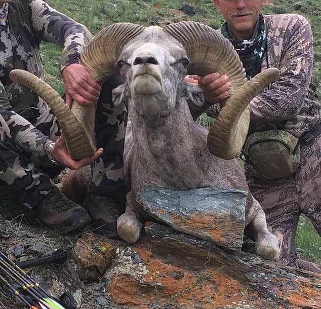 Dentist Walter Palmer who killed Cecil the Lion 'is spotted hunting sheep in Mongolia' five years after he slaughtered the famous predator with a bow in Zimbabwe