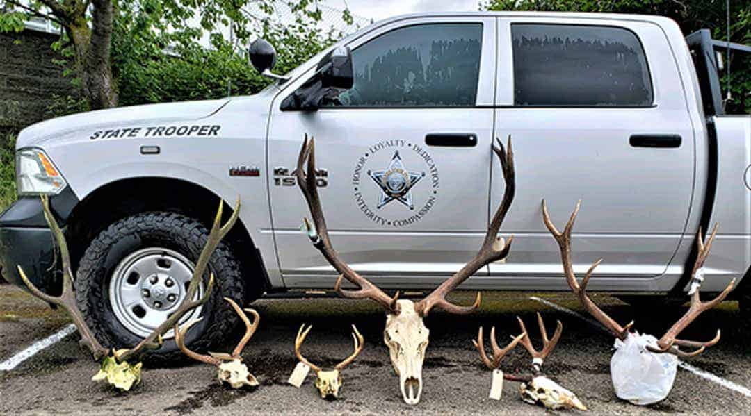 Four Oregonians charged with poaching 27 big game animals could face $162,000 in fines