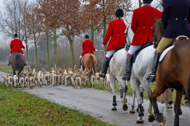 Tories bail out 'barbaric fox hunters' with £50,000 cash to survive coronavirus crisis