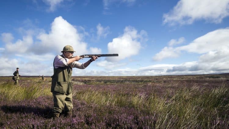Grouse shooting: Majority of Scots opposed as row over sport continues