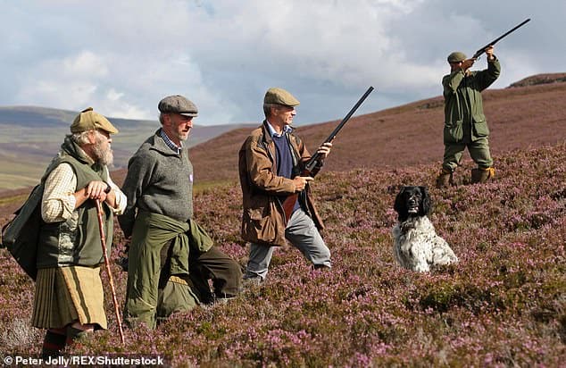 Is it the last blast for lead shot? Biggest shake-up in 500 years for game shooting as ban looms on 'toxic' ammunition