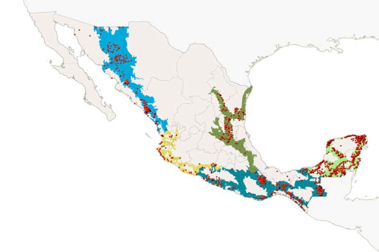 Jaguar census map: Current geographic range of jaguar (Panthera onca) in Mexico (blue, Ceballos et al. 2018) and records from the past 20 years. Credit: Ceballos G et al 2021