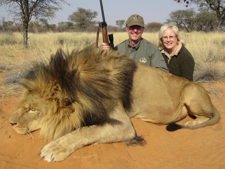 POLL: Should trophy hunting of lions be made illegal?
