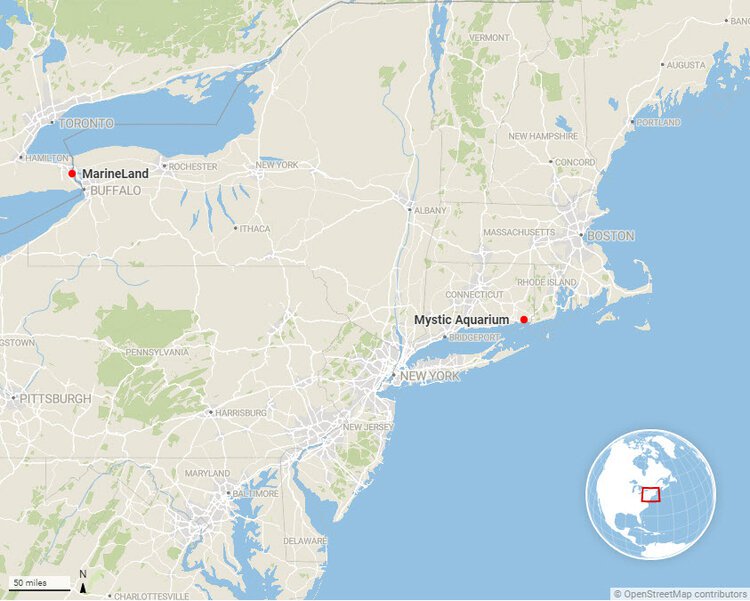 A map showing the locations of MarineLand & Mystic Aquarium. Of the five MarineLand beluga whales whose care was transferred to Mystic Aquarium in 2021, three have now sadly passed away.Map: Ian RandallCreated with Datawrapper