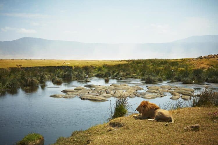 Ngorongoro Crater, Tanzania - GETTY IMAGES.