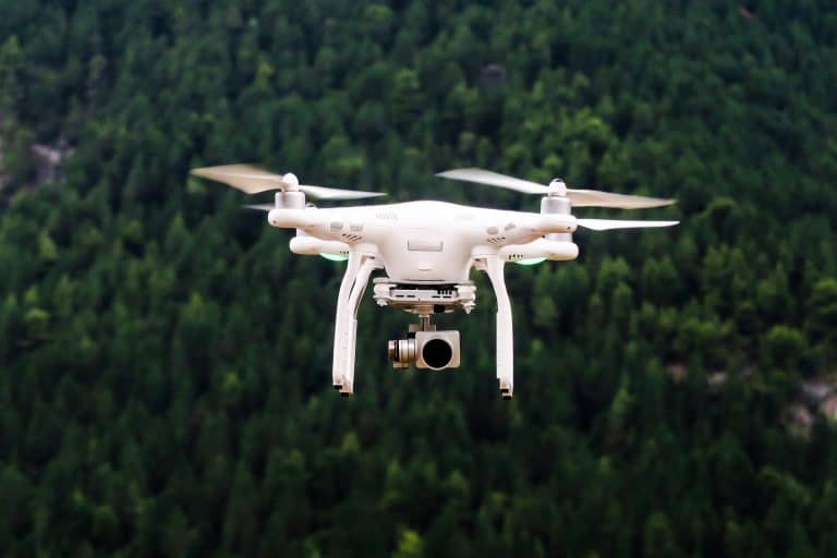 Officials Say That Drone Usage is Stressing out Wildlife