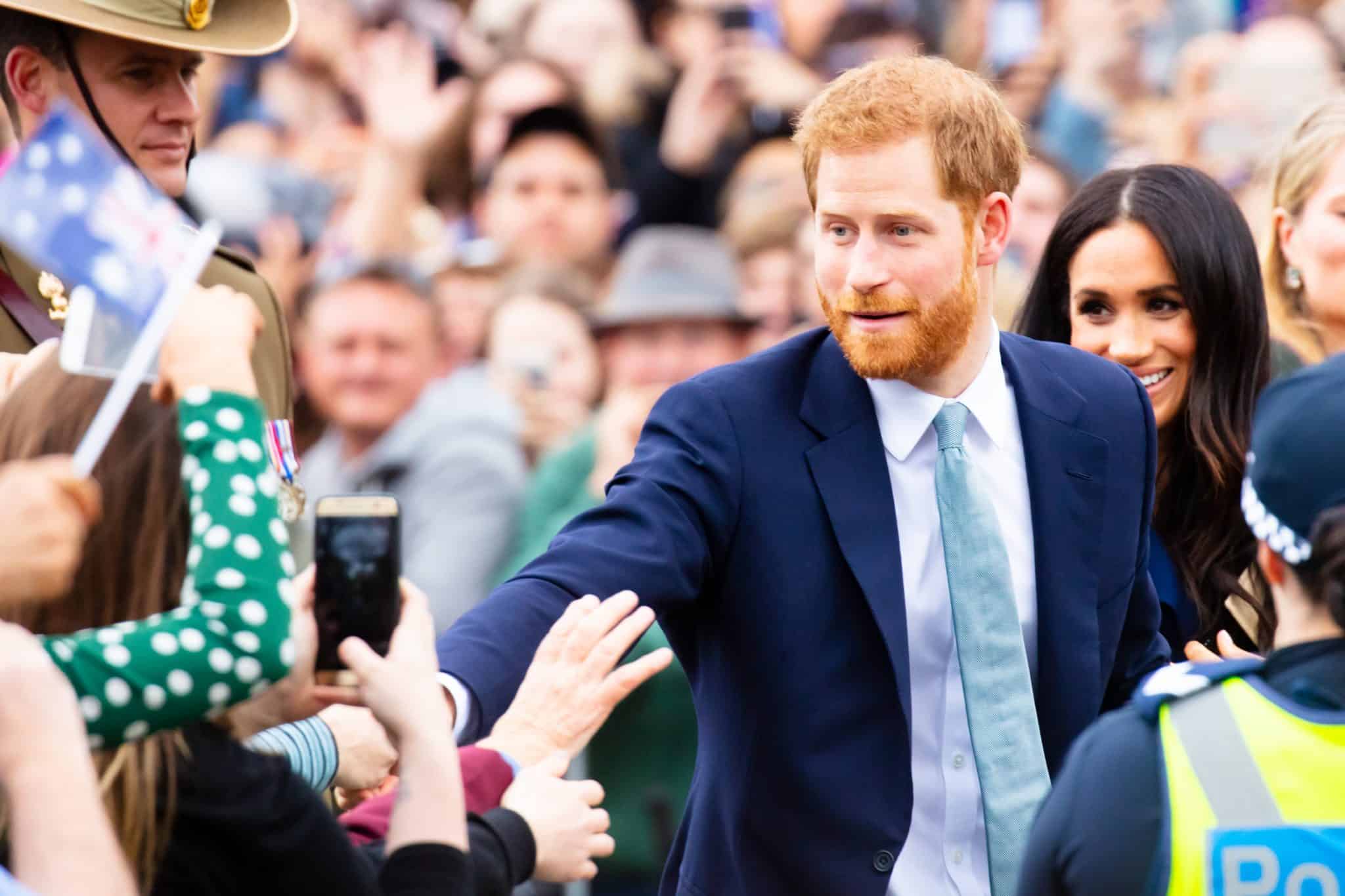 Petition: Prince Harry Sells his Hunting Rifles and Quits Hunting