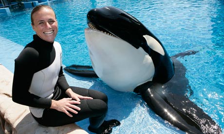 POLL: Should whales and dolphins be kept in captivity for our entertainment?