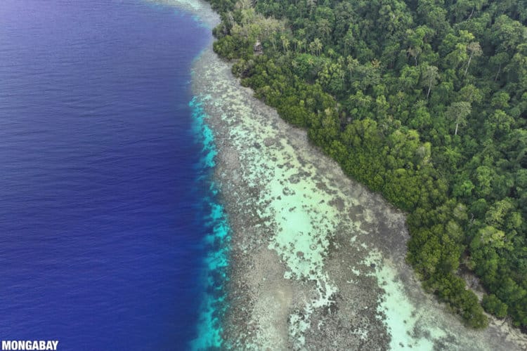 Coral reef, ocean, mangroves, and forest in Raja Ampat, Indonesia. Image by Rhett A. Butler / Mongabay.