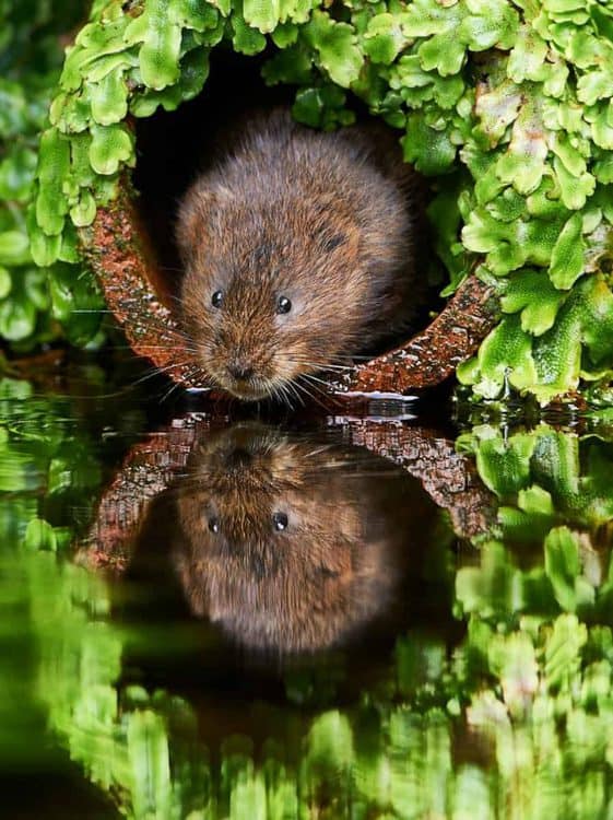 Results of the Best Photo of the Month March 2021