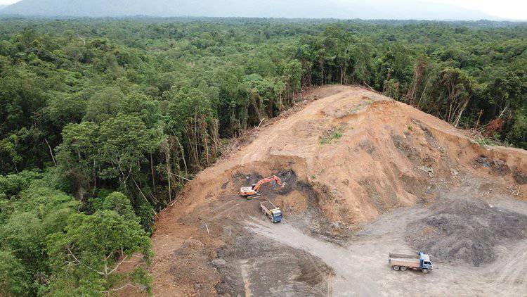Petition: Stop McDonald’s From Burning Down Amazon Rainforest