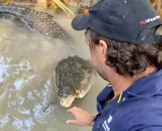 'Sit! sit!' How one Australian dealt with a 4m crocodile called 'Bonecruncher'