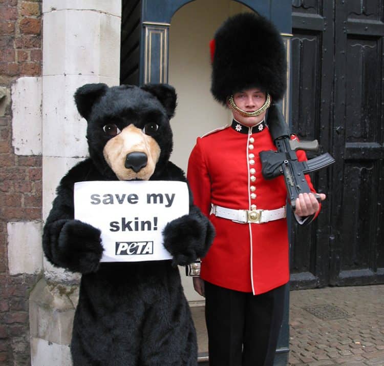 Stop the Slaughter of Bears for Hats