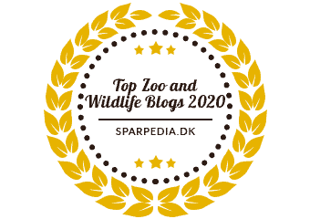 Top Zoo and Wildlife Photography Blogs