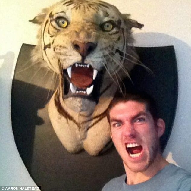 Taxidermist is jailed for 56 weeks for illegally trading rhino horns and tiger teeth after photos of him posing next to his animal trophy collection at his parents' home sparked probe