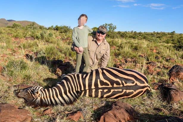 Trophy hunter safaris let children slaughter wild animals in sick 'kids go  free' deals | Focusing on Wildlife