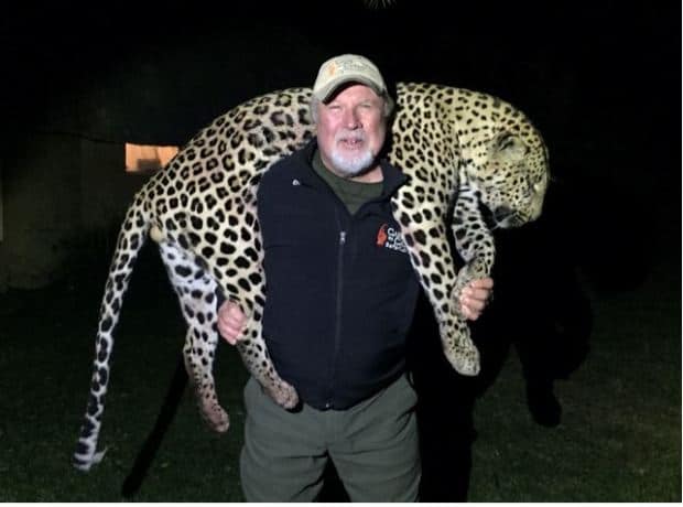 Trophy hunters paying £30,000 to hunt leopards with packs of baying dogs then posing for pics with slain animals