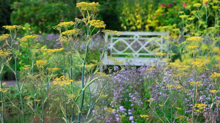 Wildlife garden ideas – 10 ways to transform your backyard into a nature-friendly plot