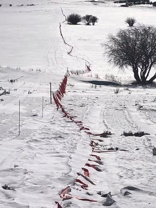 Electric fencing with fabric strips meant to deter wolves from entering areas with livestock is seen in this 2022 photograph at the Sherman Creek Ranch north of Walden, Colo. Many ranchers were opposed to the reintroduction of wolves into the Democratic-controlled state but were outvoted by supporters from urban and suburban areas. (Don Gittleson via AP)